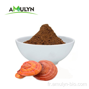 Lucidum Ganoderma Herb Lingzhi Extrait de poudre